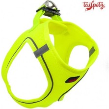 Indispensablely Tailpetz Air Mesh Harness Köpek Göğüs Tasması Xxxsmall Lime 20-24X24-28 cm