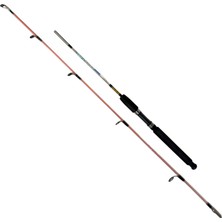 Fishpro Echo 150CM 100-250GR Tekne Kamışı
