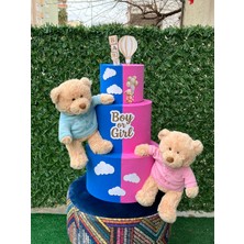 Ayrıntı Dünyası Cinsiyet Partisi Maket Pasta