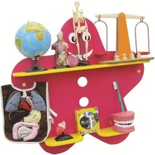 Edutoys Fen ve Doğa Köşesi (Aletler Hariç)