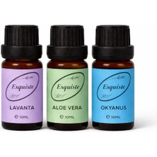 Esquiste 3’lü Premium Esans Seti – Lavanta / Aloe Vera / Okyanus (10 ml x 3)