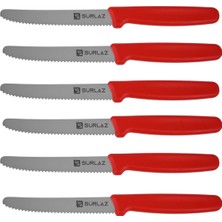 SürLaz Steak Bıçağı İsme Özel Hediyelik Bıçak  Hafif Tutum Serisi 6 Parça