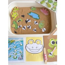 Kurbağa Aktivite Kutusu 18–36 Ay – Eğitici Duyusal Oyun & Motor Beceri Geliştirici Set