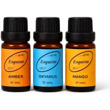 Esquiste 3’lü Premium Esans Seti – Amber / Okyanus / Mango (10 ml x 3)