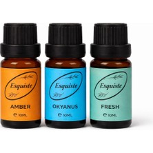 Esquiste 3’lü Premium Esans Seti – Amber / Okyanus / Fresh (10 ml x 3)