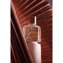 L'actone Tygar Eau De Parfume - 900 / Parfüm 100 ml