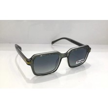 R-Line Lux Metal AE7113 C05 51 Güneş Gözlüğü