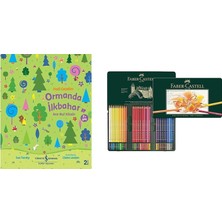 Faber-Castell Polychromos Kuru Boya Kalemi, 60 Renk, Yumuşak... +1 Parça Fırsat Seti