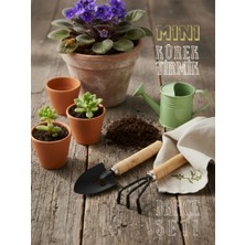 Normadia Mini Bahçe Seti, Renkli ve Eğlenceli Bitki Bakım Seti