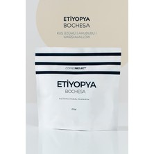 COFFEE PROJECT Etiyopya - Bochesa