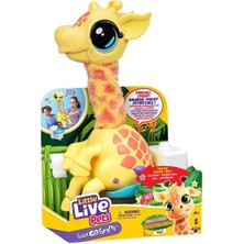 Kaia Life L0200000 Llp Gotta Go Dans Eden Zürafa - 26722