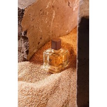 L'actone Terre Eau De Parfume - 825 / Parfüm 100 ml