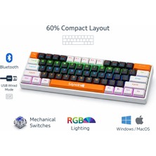 FEDDY Rgb Blue Switch Mekanik Gaming Klavye Bluetooth 2.4ghz Kablosuz USB Windows Mac Uyumlu