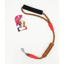 Storozde Eurodog Köpek Uzatma Reflektörlü 8MMX120CM Kahvere