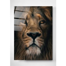 Beta Moda Hub Aslan Cam Tablo