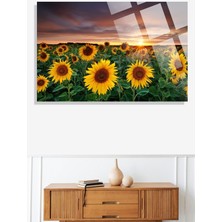 Beta Moda Hub Ay Çiçeği Tarlası Manzarası 4mm Lüks Kırılmaz Temperli Yüksek Çözünürlüklü Cam Tablo