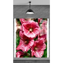 Beta Moda Hub Muhteşem Pembe Çiçekler 2 Temperli Cam Üzerine Tablo Sevgilinize Yılbaşı Hediye