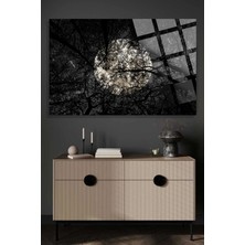 Beta Moda Hub Ay Manzarası Uv Baskılı Kırılmaz Cam Tablo, Ev ve Ofis Yüksek Çözünürlüklü 4mm Cam Tablo