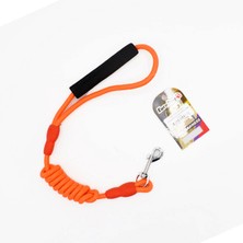 Storozde Eurodog Köpek Uzatma 8MMX120CM Turuncu