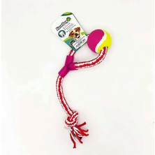 Storozde Eurodog Diş Ip Hlk.diş Kaş.tenis Topu Kır.bey 40CM