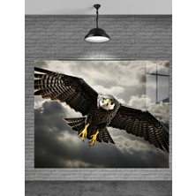 Beta Moda Hub Kartal Cam Tablo Ev Dekorasyon,balkon Dekorasyonu,dekoratif,duvar Tablo,mutfak Tablo