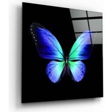 Beta Moda Hub Kelebeğin Zarafeti Cam Tablo