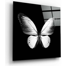 Beta Moda Hub Kelebeğin Zarafeti Cam Tablo | Hediyelik, Dekoratif, Ofis, Mutfak