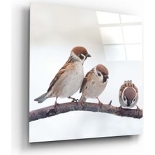 Beta Moda Hub Üç Minik Kuş Cam Tablo NO:1051 | Hediyelik, Dekoratif, Ofis, Mutfak