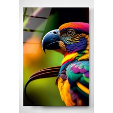 Beta Moda Hub Renkli Papağan Cam Tablo, Dekoratif Cam Tablo