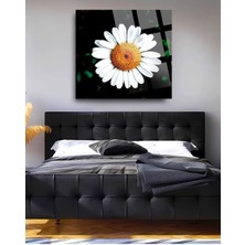 Beta Moda Hub Papatya Çiçek Kırılmaz Cam Tablo, Ev Ofis Hediyesi Yüksek Çözünürlüklü 4mm Cam Tablo