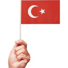 Best Parti Orta Boy Çıtalı Ay Yıldız Baskılı Bayrak 80 Adet