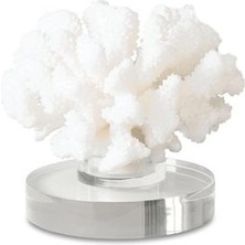 Laromita Decoration Coral Beyaz Mercan Obje / S