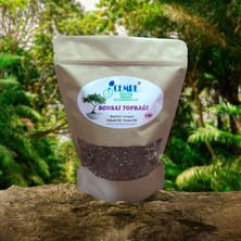 Cemre Torf Bonzai Toprağı 2 Lt