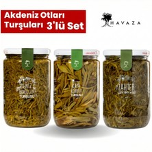 Havaza Akdeniz Otları Turşuları Deniz Börülcesi,kaya Koruğu,yağlı Zahter 720 G