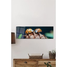Beta Moda Hub Uğur Böceği ve Kozalak Doğa Panorama Cam Tablo, Darbelere Dayanıklı Kırılmaz Temperli