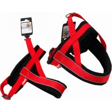 Storozde Pawise Yansıtmalı Tasma Xl