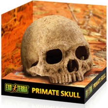 Hagen Exoterra Storozde Exo Terra Kafa Tası Şekilli Sürüngen Yuvası