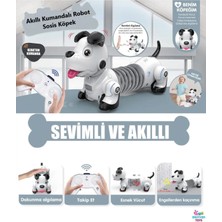 Brother Toys Uzaktan Kumandalı Akıllı Interaktif Öğretici Robot Oyuncak Sosis Köpek Büyük Boy