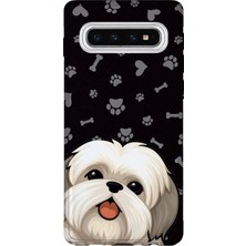 Lelia Samsung Galaxy S10 Uyumlu Baskılı Şeffaf Telefon Kılıfı | Koleksiyon: Pawprint Stories