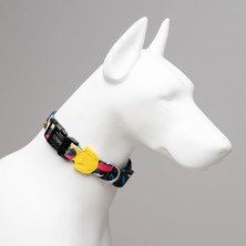 Indispensablely Lindo Dogs Enjoy Köpek Boyun Tasması Renkli Large