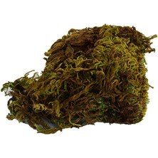 Zemira Yosun Su Yosunu Doğal 100 gr Paket