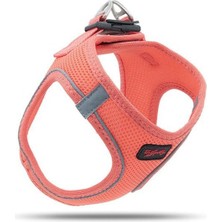 Indispensablely Tailpetz Air Mesh Harness Köpek Göğüs Tasması Xxxsmall Salmon 20-24X24-28 cm