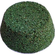 Zemira Elma Aromalı Kuşlar Için Mineral Blok 100 gr