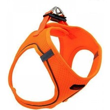 Zemira Köpek Göğüs Tasması 3xsmall 24-28 cm Neo Orange