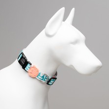 Indispensablely Lindo Dogs Touch Köpek Boyun Tasması Beyaz/mavi Small