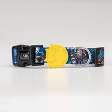 Indispensablely Lindo Dogs Apollo Köpek Boyun Tasması Renkli Large