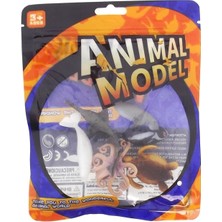 Najmaddin Model Deniz Hayvanları