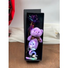 Masalsı Concept Love LED Işık Sonsuz Gül ve Peluş Ayıcık Sevgiliye En Özel Sevgililer Günü Hediyesi 14 Şubat Özel Görseldeki Gibidir