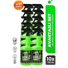 Lekex Green Power Çok Amaçlı Temizleyici ve Yağ Çözücü 750 ml x 10