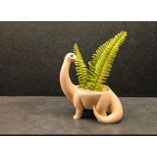 Belle Vie Dinozor Figürlü Sukulent Saksı – Ofis & Ev Dekoru